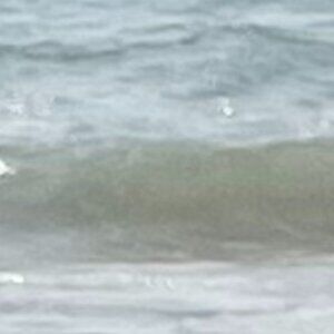 Meet your Posher, Aryeh